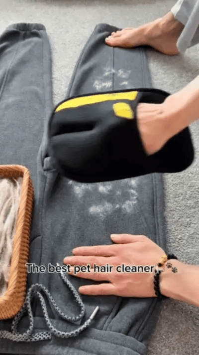 All-in-One Pet Grooming Hair Removal Gloves